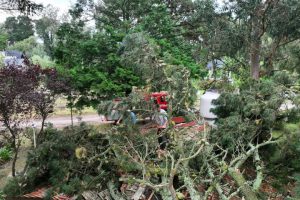 WhatsApp Image 2026-02-03 at 09.17.19 (1)