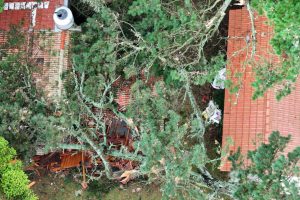 WhatsApp Image 2026-02-03 at 09.17.19 (2)