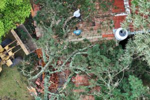 WhatsApp Image 2026-02-03 at 09.17.22 (2)