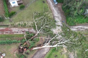 WhatsApp Image 2026-02-03 at 09.17.24 (2)