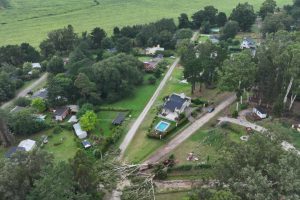 WhatsApp Image 2026-02-03 at 09.17.24