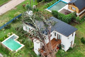 WhatsApp Image 2026-02-03 at 09.17.30