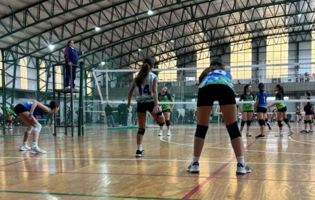 iae voley