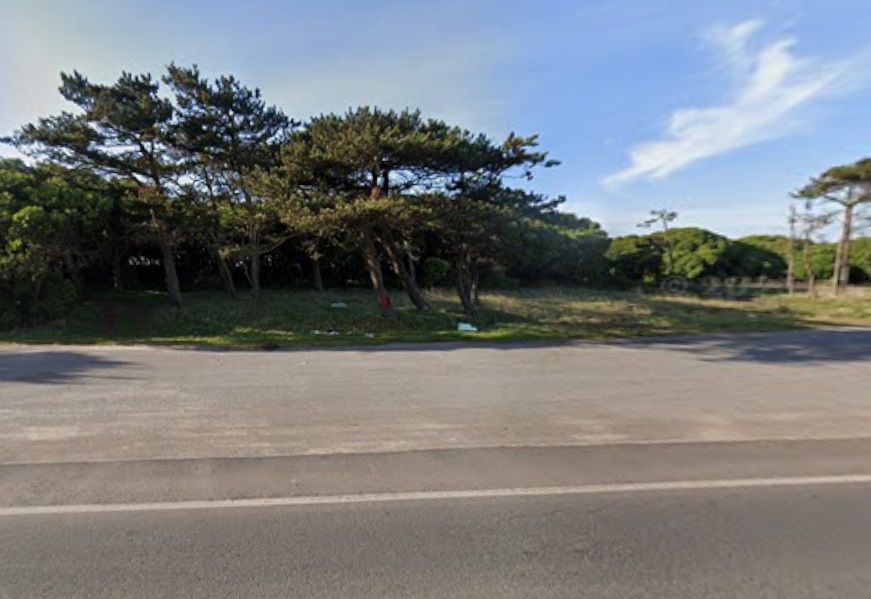 Monte en el kilómetro 24 de la ruta 11 donde fue asesinado Ferrero.